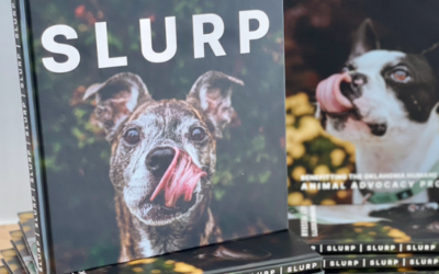 Purchase A Copy of SLURP!