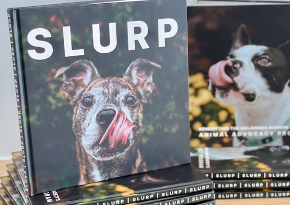 Purchase Slurp | OK Humane