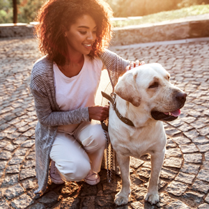 Foster Dogs or Cats | Oklahoma Humane Society