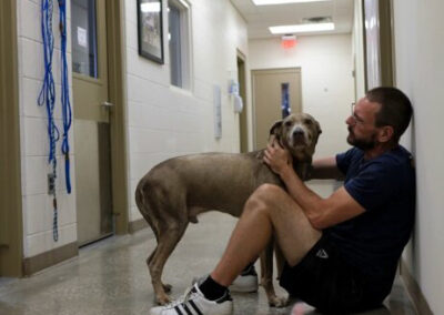 More Than 1,000 Animals Saved Annually | OK Humane Society